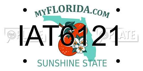 IAT6121 Florida License Plate