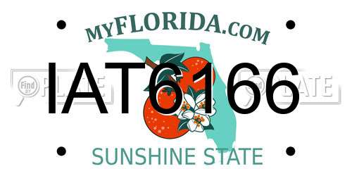 IAT6166 Florida License Plate