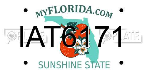 IAT6171 Florida License Plate