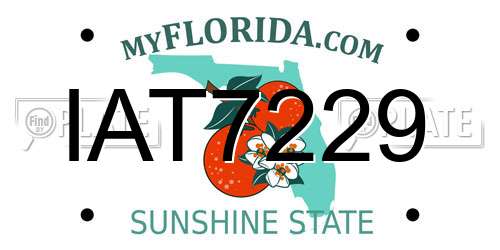 IAT7229 Florida License Plate