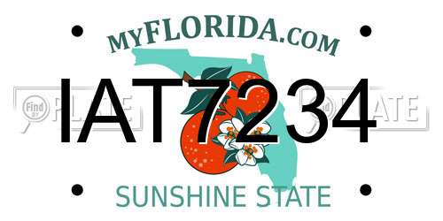 IAT7234 Florida License Plate
