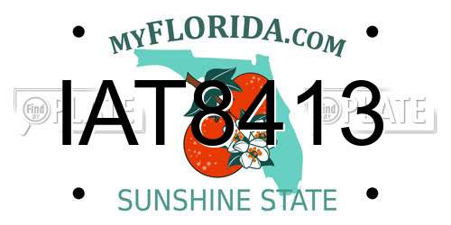IAT8413 Florida License Plate