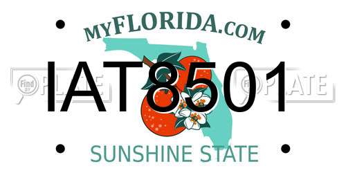 IAT8501 Florida License Plate
