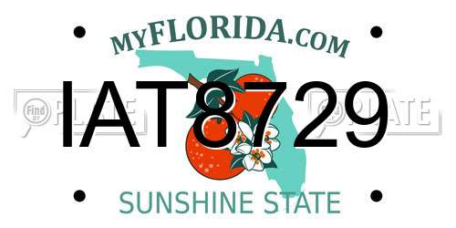 IAT8729 Florida License Plate
