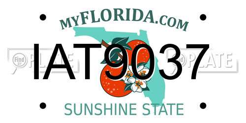 IAT9037 Florida License Plate