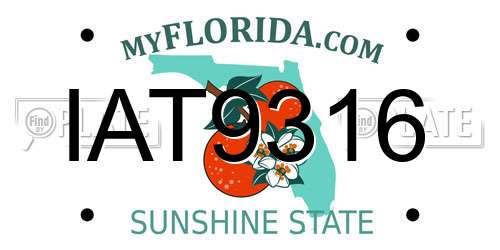 IAT9316 Florida License Plate