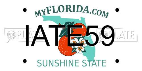 IATE59 Florida License Plate