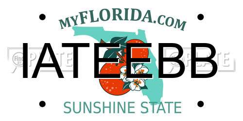 IATEEBB Florida License Plate
