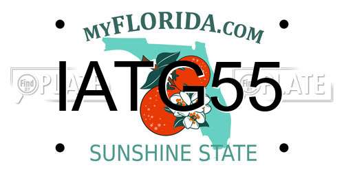 IATG55 Florida License Plate