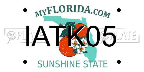 IATK05 Florida License Plate