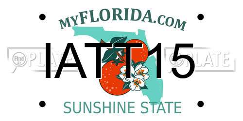 IATT15 Florida License Plate