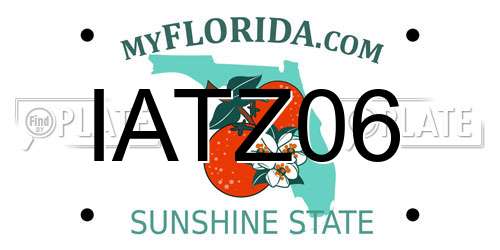IATZ06 Florida License Plate