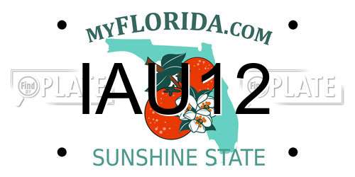 IAU12 Florida License Plate