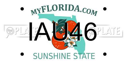 IAU46 Florida License Plate