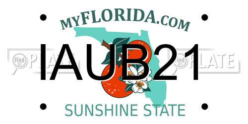 IAUB21 Florida License Plate