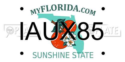 IAUX85 Florida License Plate