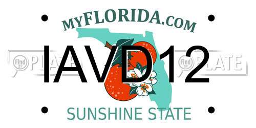 IAVD12 Florida License Plate