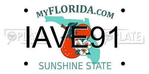 IAVE91 Florida License Plate