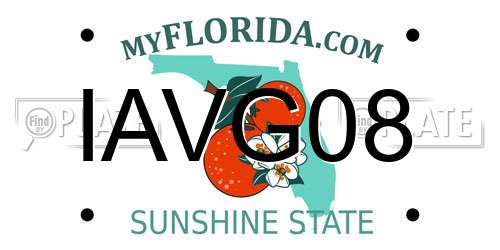 IAVG08 Florida License Plate