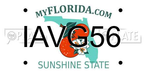 IAVG56 Florida License Plate