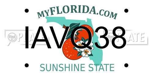 IAVQ38 Florida License Plate