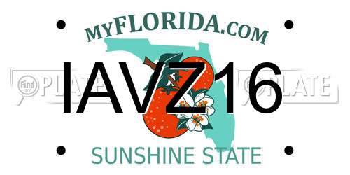 IAVZ16 Florida License Plate