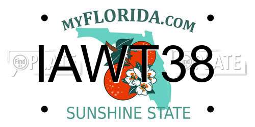 IAWT38 Florida License Plate