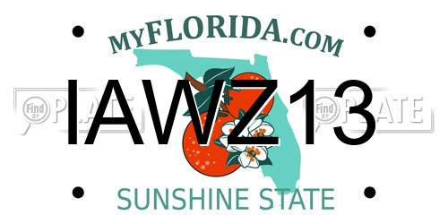 IAWZ13 Florida License Plate