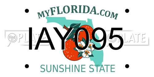 IAY095 Florida License Plate
