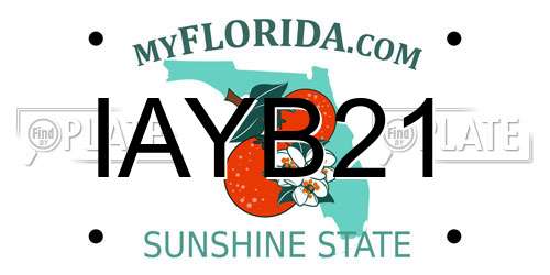 IAYB21 Florida License Plate