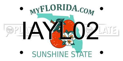 IAYL02 Florida License Plate