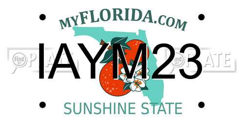 IAYM23 Florida License Plate