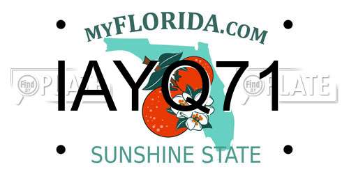 IAYQ71 Florida License Plate