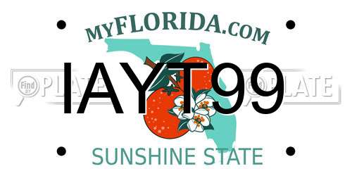 IAYT99 Florida License Plate