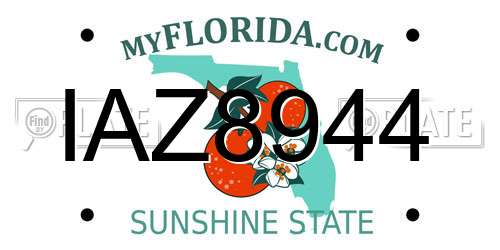 IAZ8944 Florida License Plate