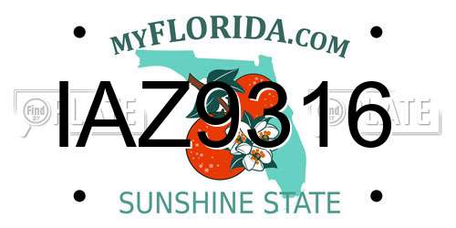 IAZ9316 Florida License Plate