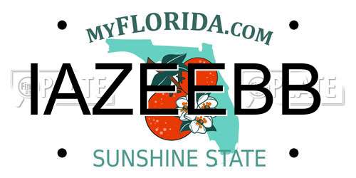 IAZEEBB Florida License Plate