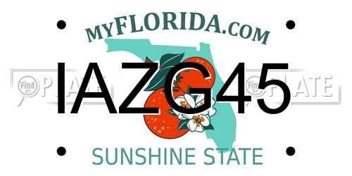 IAZG45 Florida License Plate