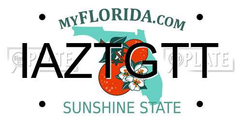 IAZTGTT Florida License Plate