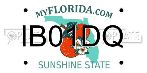 IB01DQ Florida License Plate