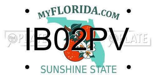 IB02PV Florida License Plate
