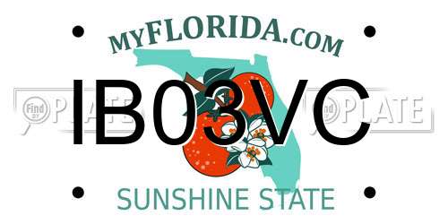 IB03VC Florida License Plate