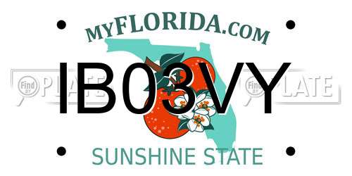 IB03VY Florida License Plate