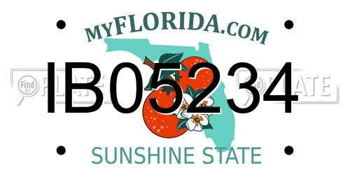 IB05234 Florida License Plate
