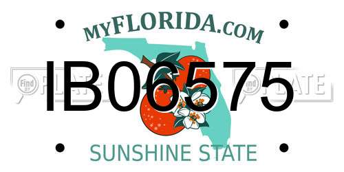 IB06575 Florida License Plate