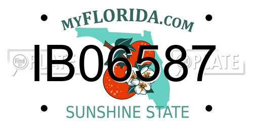 IB06587 Florida License Plate