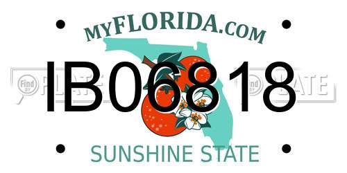 IB06818 Florida License Plate