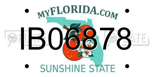 IB06878 Florida License Plate