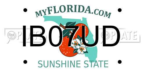 IB07UD Florida License Plate