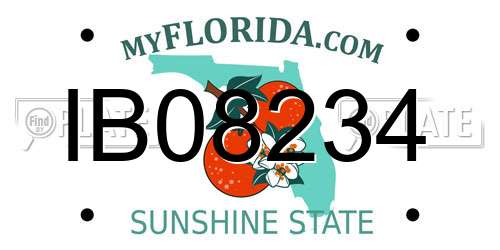 IB08234 Florida License Plate